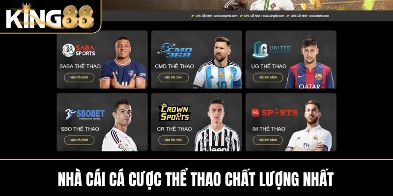 Nhà cái cá cược thể thao chất lượng nhất